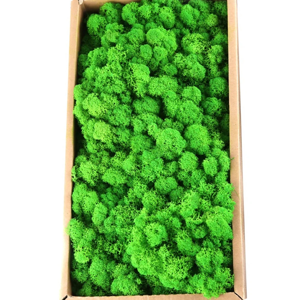 20 g künstliche grüne Moospflanzen, ewiges Lebensgras, Mini-Landschaft, Kunstrasen, DIY-Handwerk für Zuhause, Wohnzimmer, Garten, Dekoration