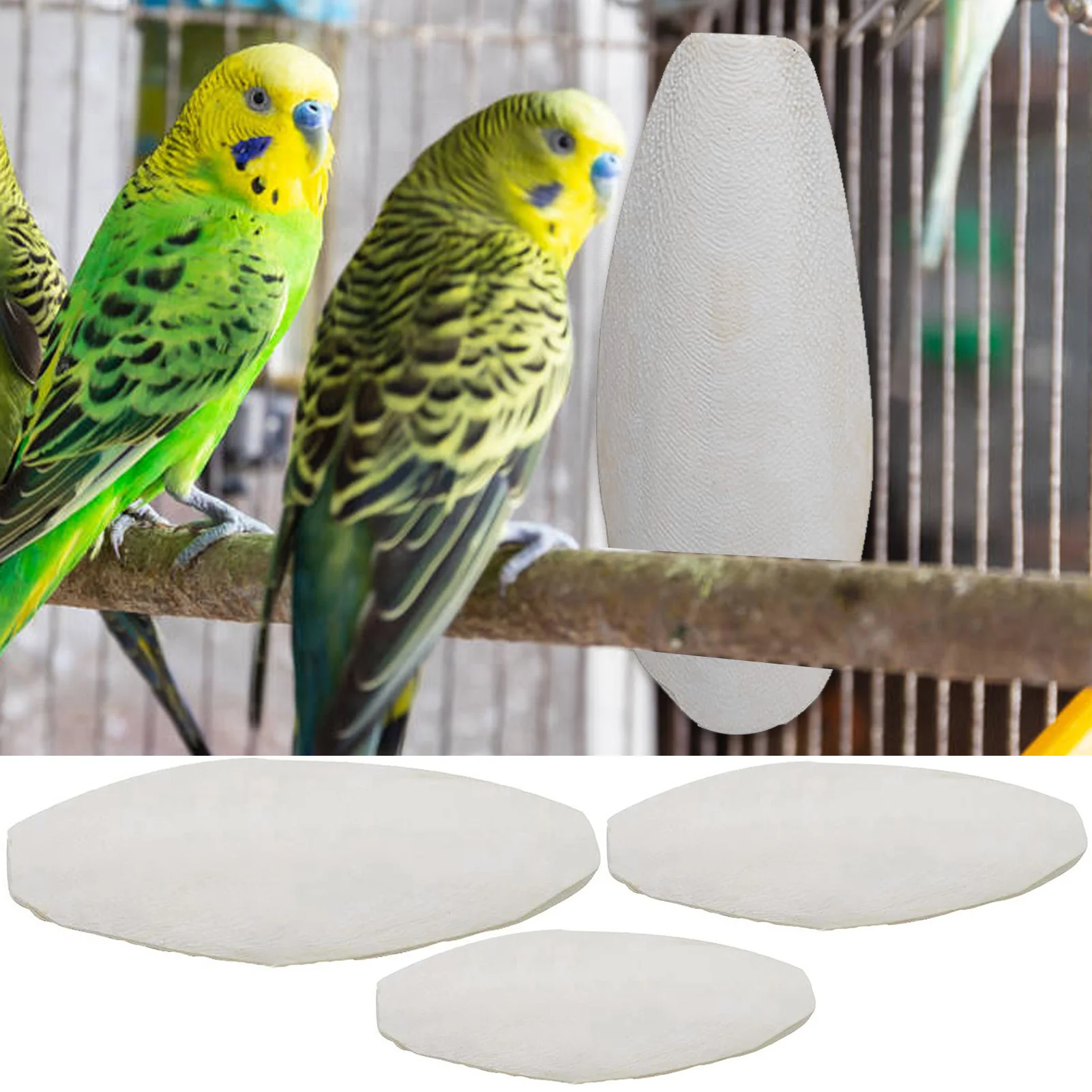 

10pcs Cuttlebone For Birds Natural Cuttle Bone For Bird Calcium & Sharp Beaks Cuttlefish Bone With Holder For Budgies Cockatiels