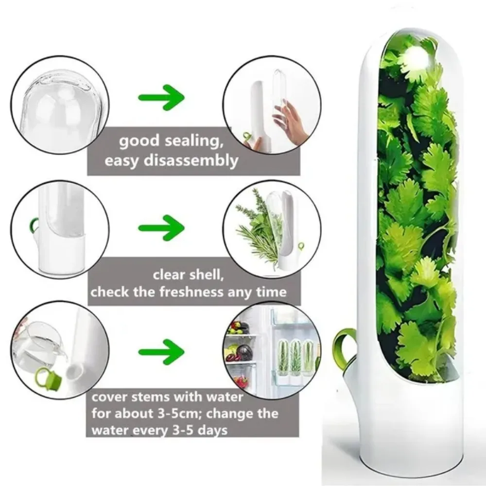 2Pcs Refrigerator Fresh Keeper for Vegetable Herbs Saver Storage Parsley Cilantro Containers 5