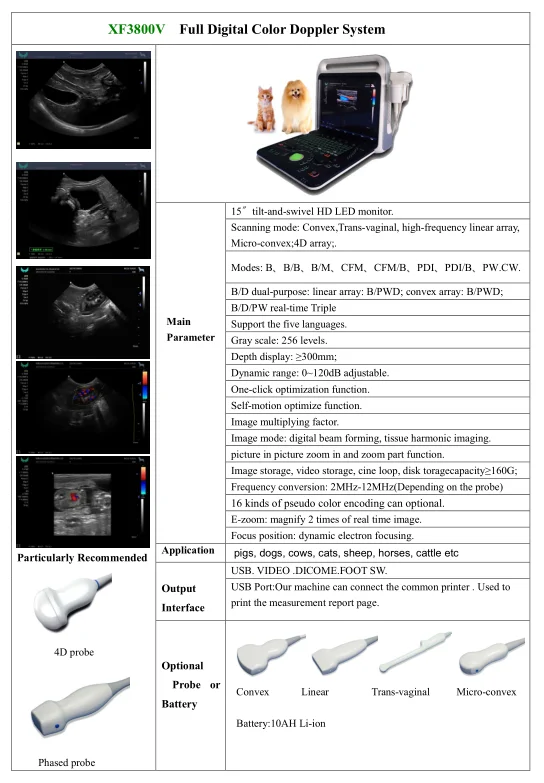 Ecografo Portatil Wifi Color Dopler Cardiaco Pw B/m Pdi 2b