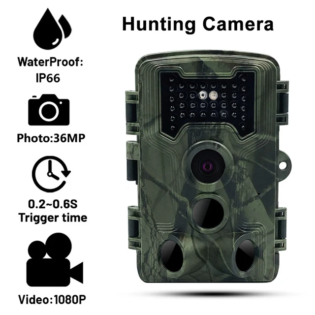 detecting trail cameras