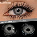 PATTAYA-GRAY