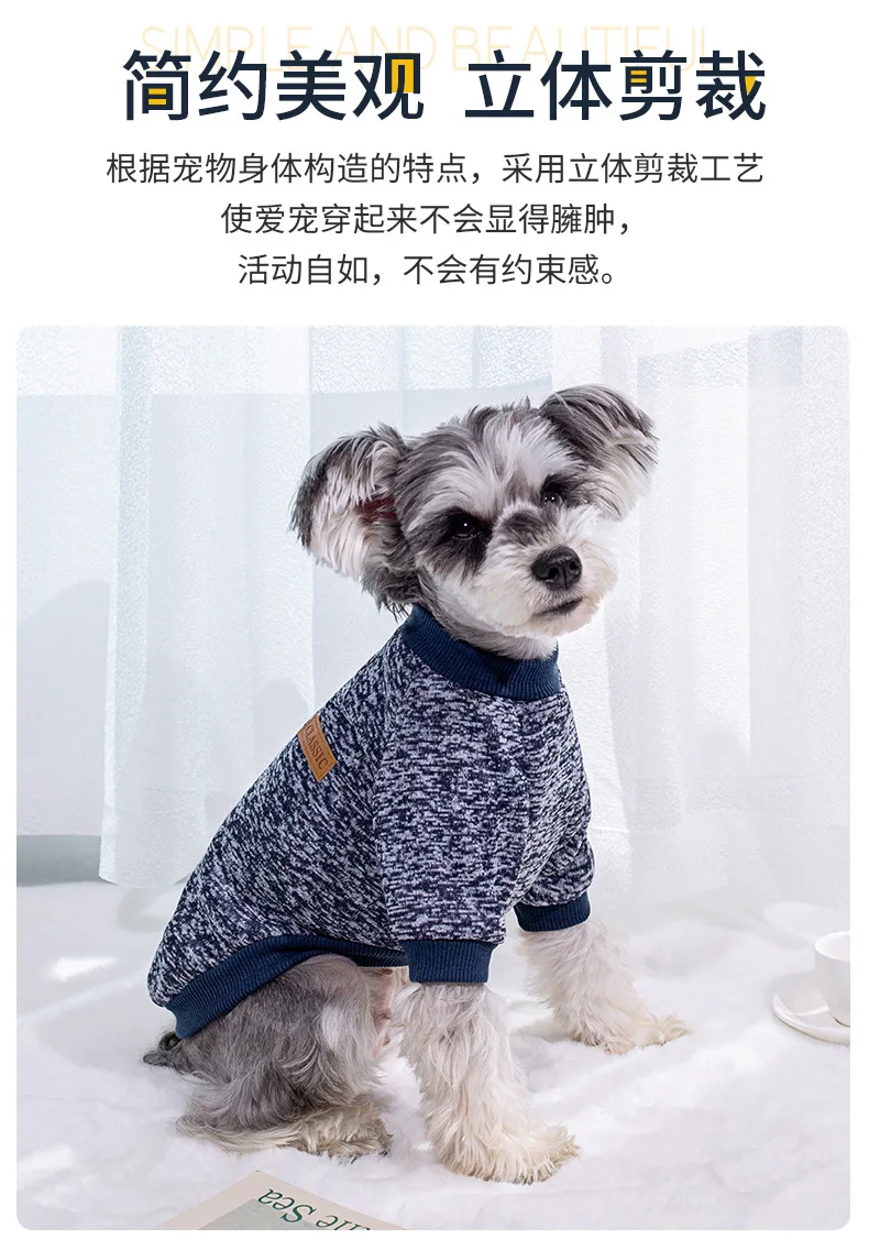 Small dog wearing a soft knitted round neck jumper