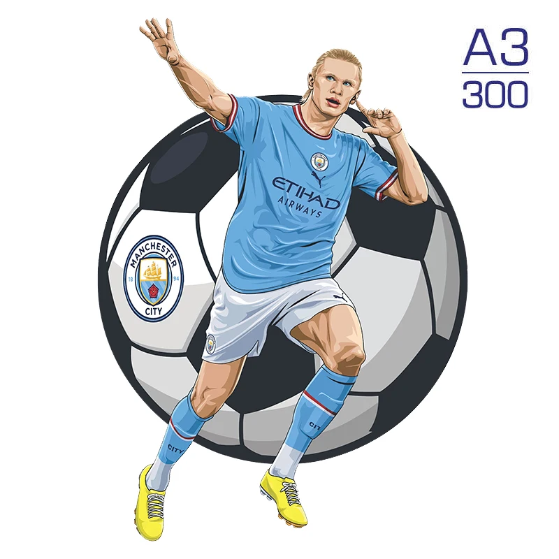 Puzzle  Football Star Wooden Jigsaw Sports Stars Puzzle for Kids Adults Educational Fabulous Gift 300 Pcs DIY Puzzle Toys 4