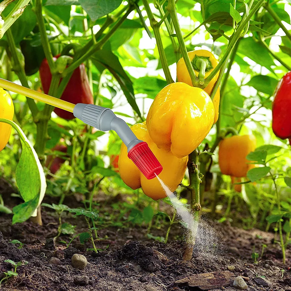 Pulvérisateur 5L port dorsal jardinage