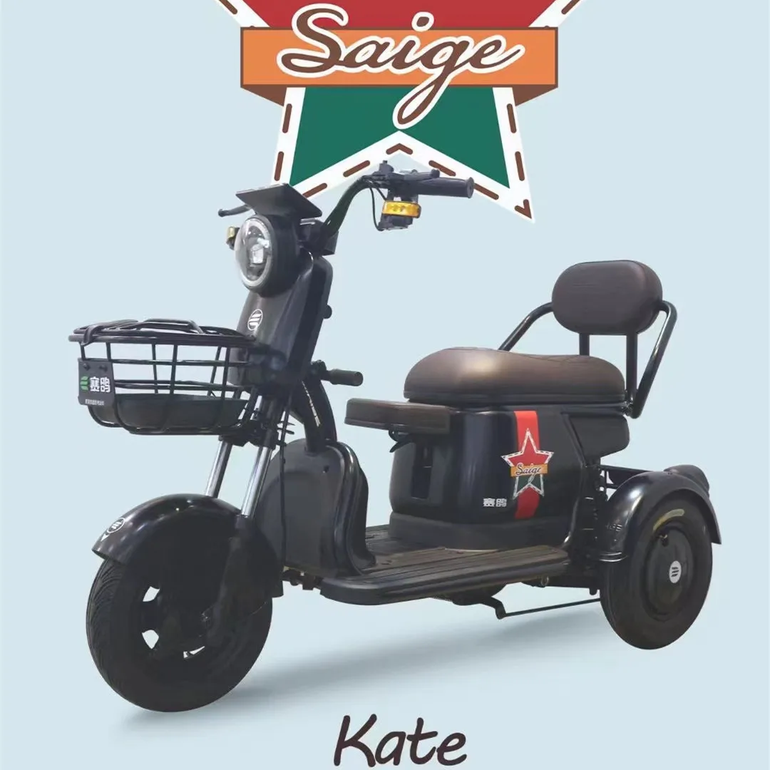 China 3 Wheels Adult Electric Tricycle with Child Seat and Handle Bar EEC Certificate Cheaper E-Trikes Electric Tricycles
