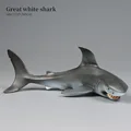 Shark-5