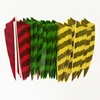 50Pcs IBOUNFOX Arrow Feathers 3 Inch Hunting Turkey feathers for Arrow Archery DIY Accessories Shield Right/ Left Wing 2
