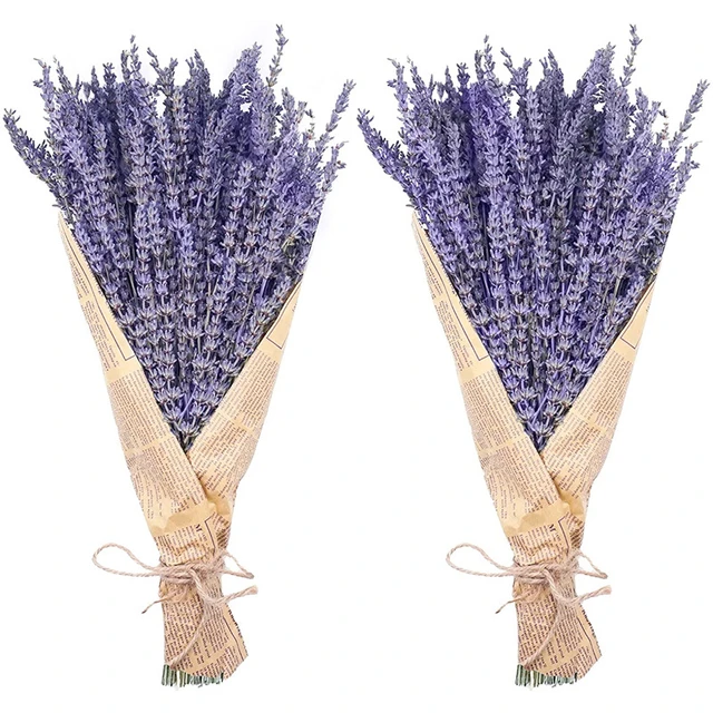 300-320 Hastes, Decoração De Cachos De Lavanda Seca Natural