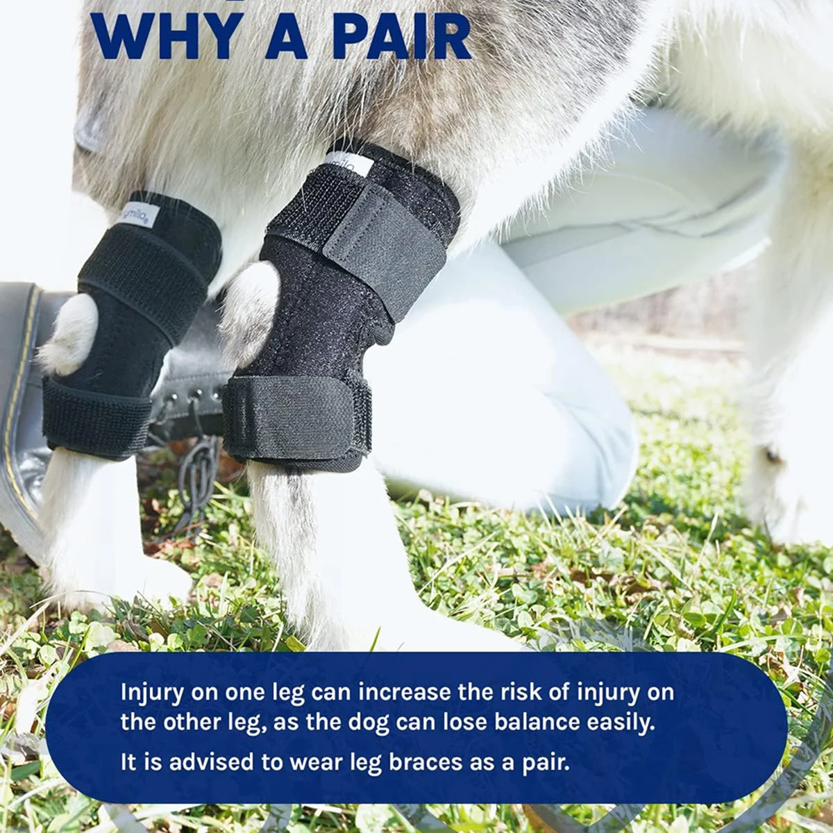 Neoprene Dog Knee Brace with Gel Support-Adjustable Joint Protector for Small/Medium/Large Dogs, Anti-Lick Design (200g)