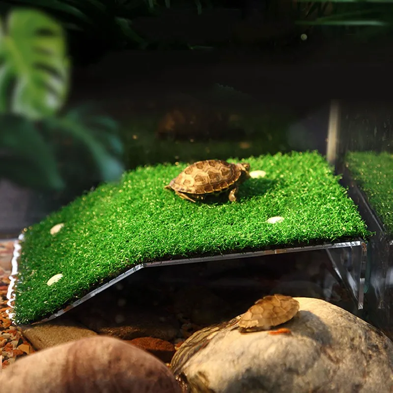 Piattaforma Per Tartarughe Acquatiche Con Ventosa - Area Soleggio E Alimentazione Per Acquario - Foto 5