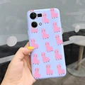 Case-c16