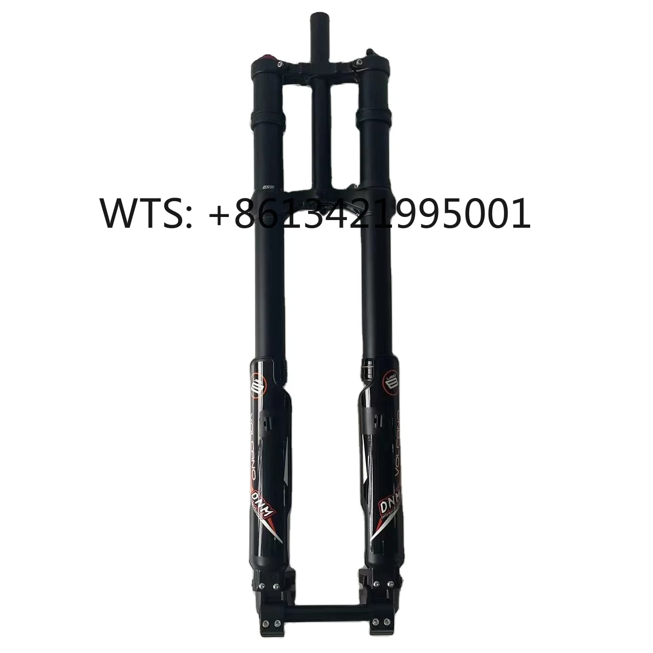 Front Fork for 19 Inch Motorcycle Tire Ebike 26*3.0 Inch Tyre Electric Bicycle DNM Front Fork
