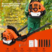 EB808A Snow Air Blower 42.7CC 2 Stroke Gasoline Backpack Leaf Blower 1.25KW Power High Vacuum Fan 1