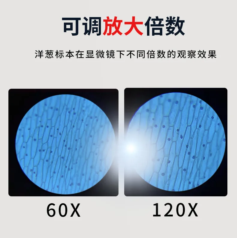 60X-120X Microscope For Watching Killifish Eggs Fish Caviar Roe Brine Shrimp Sea Monkey Kids Science Toys Diy Education Supplies 16 60X-120X Microscope For Watching Killifish Eggs Fish Caviar Roe Brine Shrimp Sea Monkey Kids Science Toys Diy Education Supplies