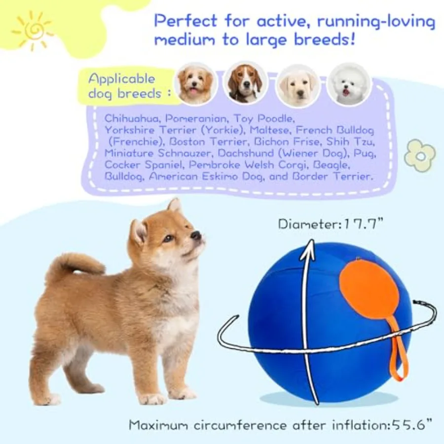 description