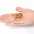 Mini Insects 1