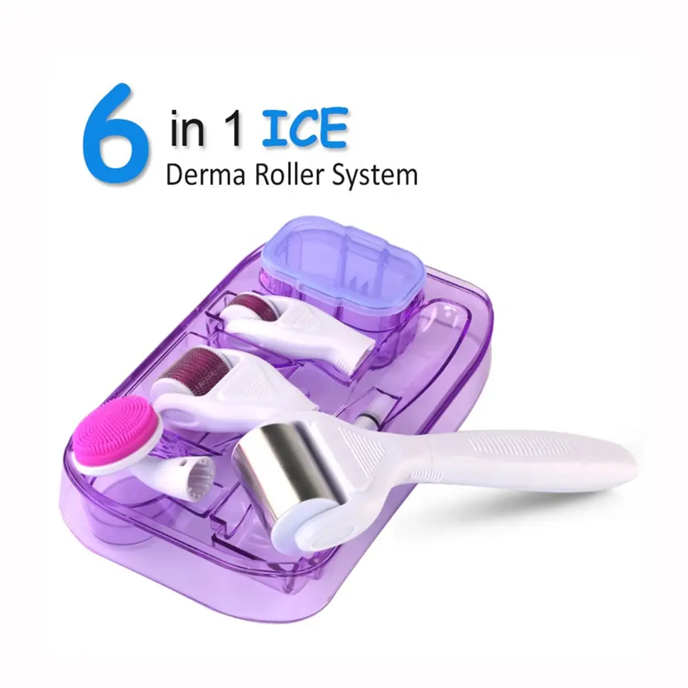Drs 6 In1 Ice Dermaroller Microneedling Massager Therapy Micro Needle Derma Roller In Acciaio Inossidabile 6 In 1 Kit Per La Crescita Dei Capelli