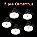 5 Pcs Osmanthus