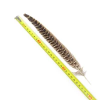 10pcs 25-30cm Natural Pheasant Tail Feathers 6