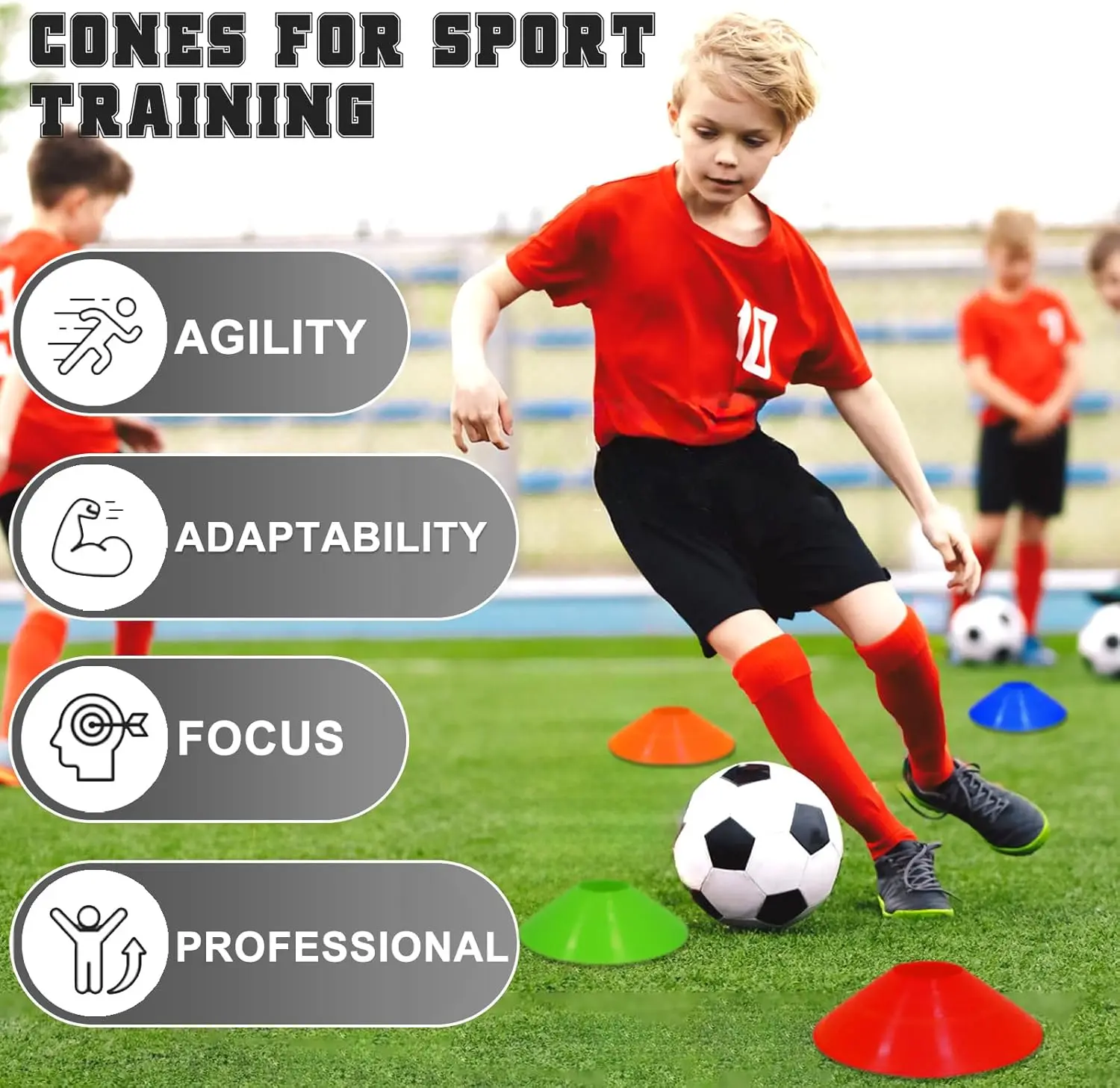 Ground stakes and pump