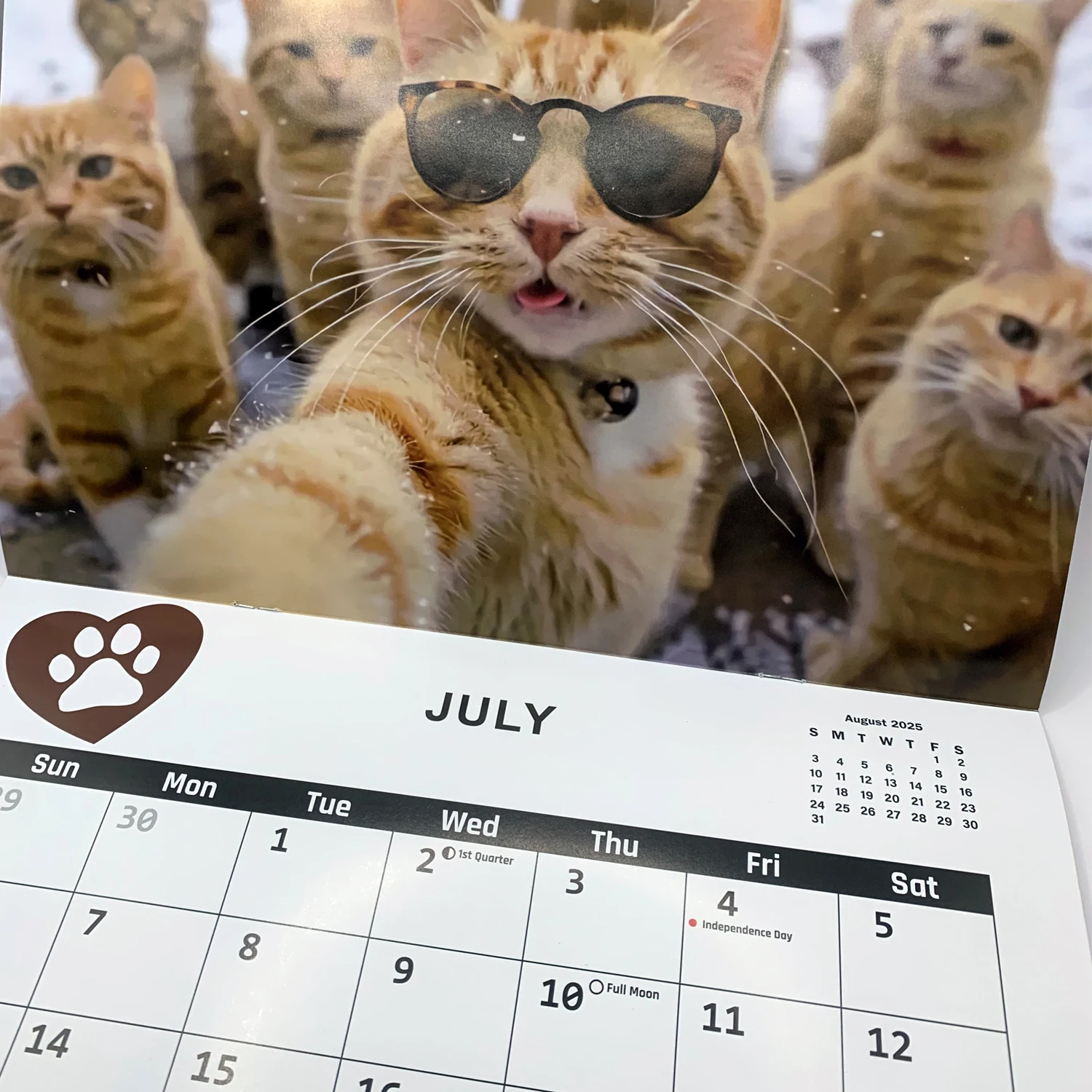 Desk Calendar Wall Calendar Paper Wall Calendar Habit Tracker Calendar Perpetual Calendar Keyring Cat Butt Tail Calendar