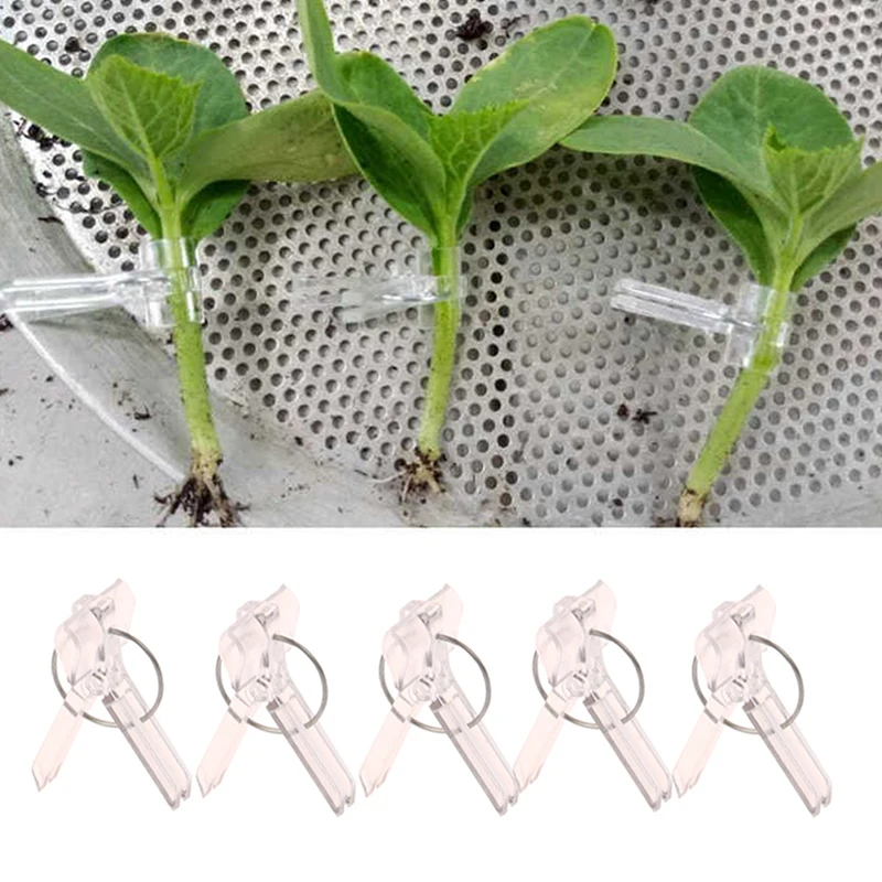 Plant Clips Plastic Plant Clips 100Pcs 15x35MM