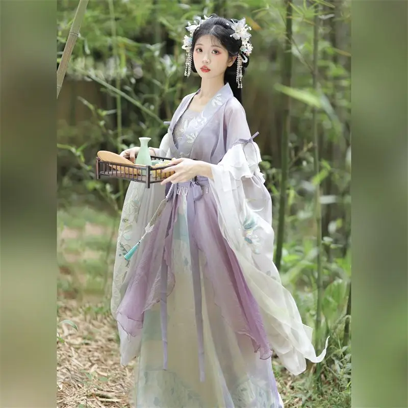 Robe Hanfu traditionnelle chinoise pour femmes, broderie de prairie, costume de danse folklorique de scène, rétro, dynastie Song, violet Ha, nickel é