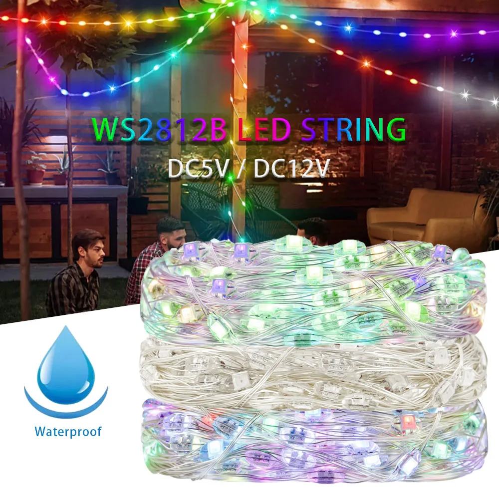 WS2812B RGBIC LED Streifen String Kupferdraht WS2812 Individuell adressierbare Party Hochzeit Girlande Deco Weihnachtsbeleuchtung DC5V/12V