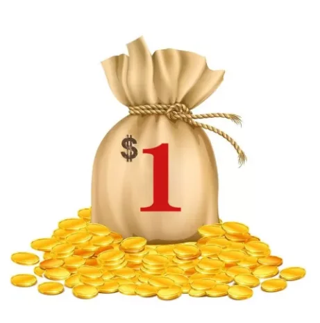 

This Is For Customized Order, Price Difference, Change Order/Shipping Fee