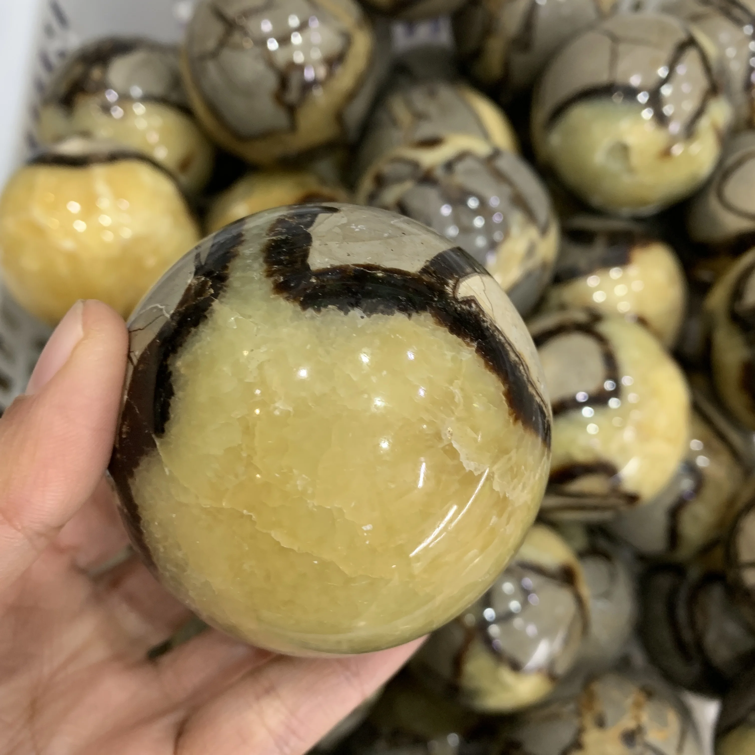 

60~70mm Natural septarium sphere Septarium Crystal Ball Healing from Madagascar