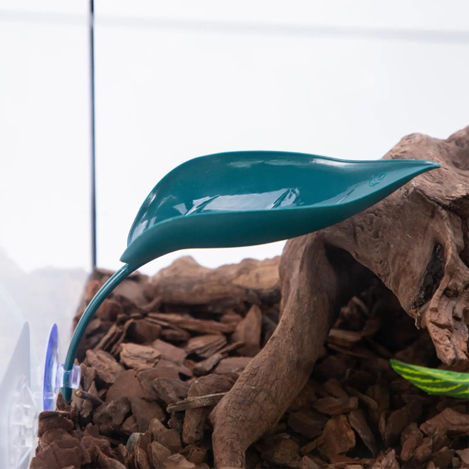 3Pcs Turtle Basking Leaf Shape Bearded Basking Platforms With Suction Cups Tree Frog Tank Accessories Tank Decoration