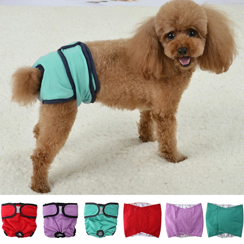 Dog Physical Pant Pet Panties Belly Band Puppy Short Dog Diapers Dog