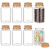 100ml Mini Glass Bottles with Cork Stoppers, Wish Message Bottles for Wedding Party Supplies, DIY Craft, Baby Shower Favors 1
