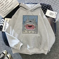 Totoro 0304