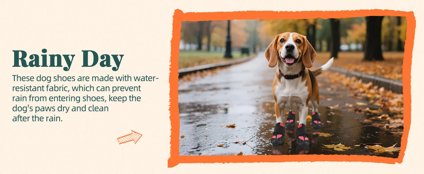 dog winter boots