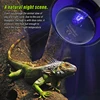 Pet Heating Lamp E27 Night Lamp For Amphibian Snake Lamp Heat Reptile Bulb UV Light 25W 50W 75W 100W AC220-240V 3