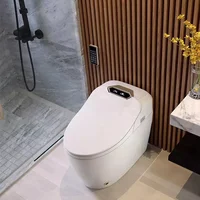 Ceramic Automatic Sanitary Waterless Toilet Electronic Intelligent Closestool Night Light Smart Toilet WC Toilet Bowl 3