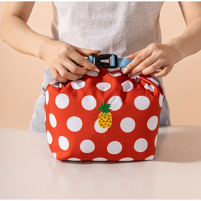 Zusammenklappbare Lunch-Handtasche, große Kapazität, wasserdichte Aufbewahrungstasche, Isolierung, frische Kühltasche, umweltfreundliche Aufbewahrungstasche – Detail 3