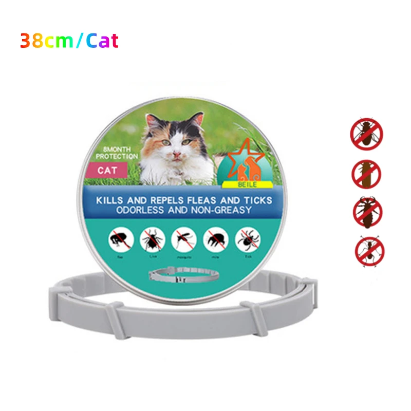 38cmCat With Box