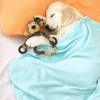 Squeaky Puppy Toys Plush Puppy Chew Toys for Teething Training Dog Toys for Small Dogs Toys for Cute Monkey Interactive Dog Toys 5