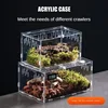 Acrylic Transparent Reptile Terrarium Breeding Box Turtle Cage Nano Arboreal Tarantula Enclosure Dearded Dragon Reptiles Habitat 5