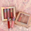 Private Label Lipgloss Vegan Makeup Sets Lip Make Up Kit Wholesale High Quality 4