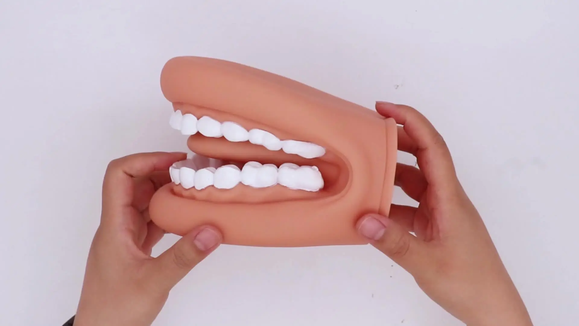 Marioneta De Mano Bucal Con Lengua Y 28 Dientes De Silicona Para Terapia Del Habla - Recurso Educativo Para Enseñar Higiene Dental Y Pronunciación A Niños