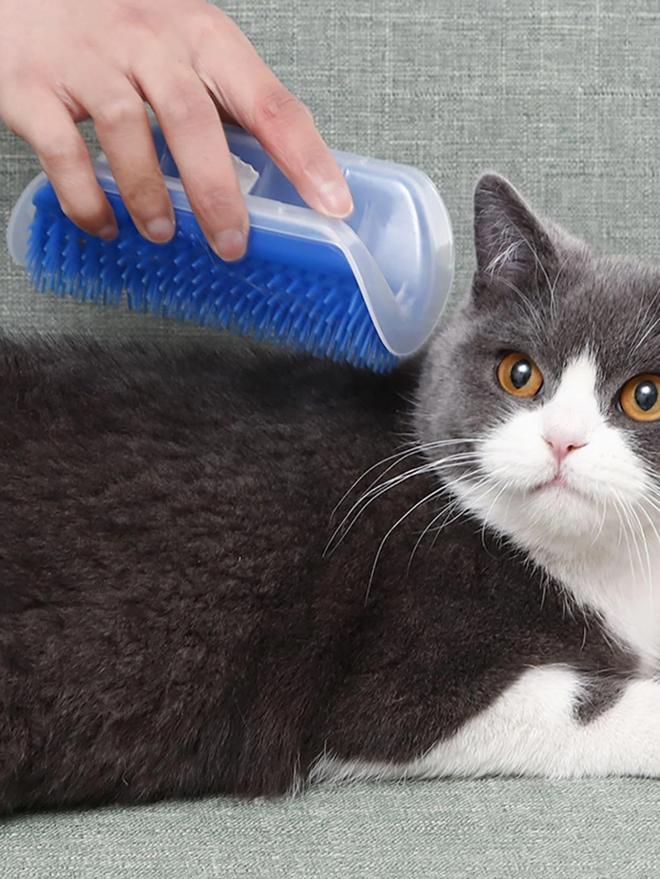 1pc-Roller cat scratching device for hair removal and massage