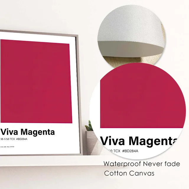 Pantone Color of the Year 2023 Viva Magenta Hex BB2649  Poster for Sale by  ellenhenry