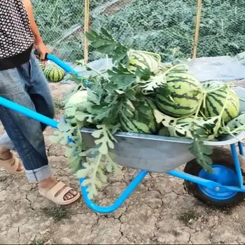 정원 도구 카트 토양 운반 수레, 수박 운반 차량, 2 륜 가정용 조용한 빛 지구