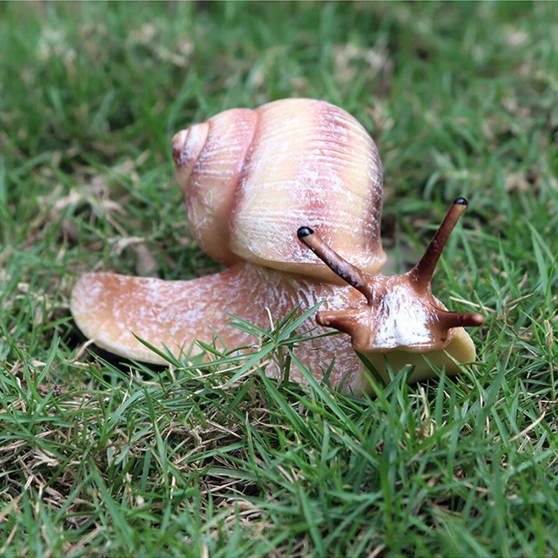Plastic Model Toys Simulated Animal Growth Cycle Parent-child Education Puzzle Honeybee Turtle Butterfly Frog Ladybug Model TMZ childrens toys,parent child interactive toy