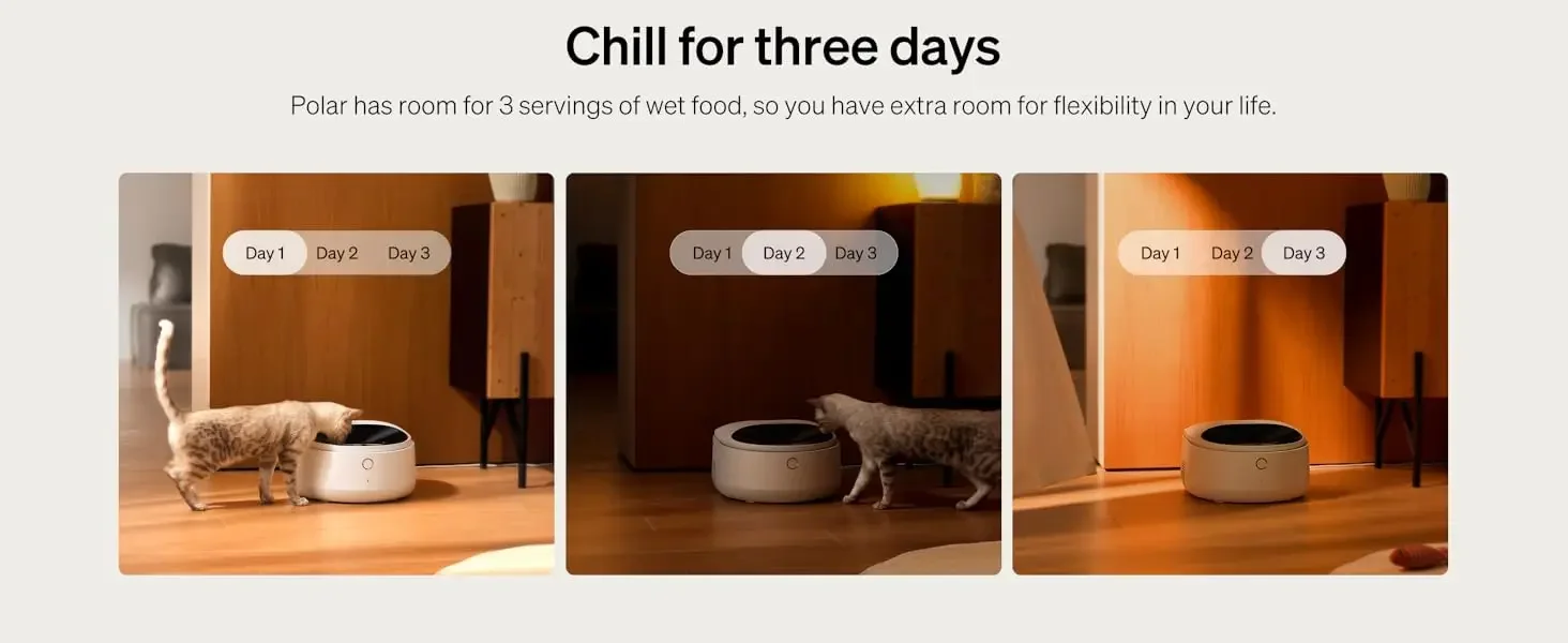 wet food feeder