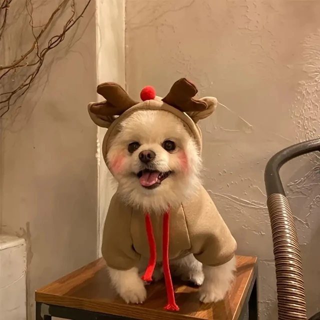 Pullover de Noël pour Chien Renne - Sweat à capuche pour petits, jouets, mini et moyens races - Chaleur en polyester tissé pour Pullover de Noël pour Chien Renne - Sweat à capuche pour petits, jouets, mini et moyens races - Chaleur en polyester tissé pour